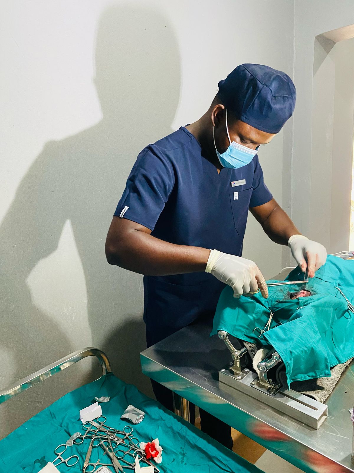 Pet Sterilisation
