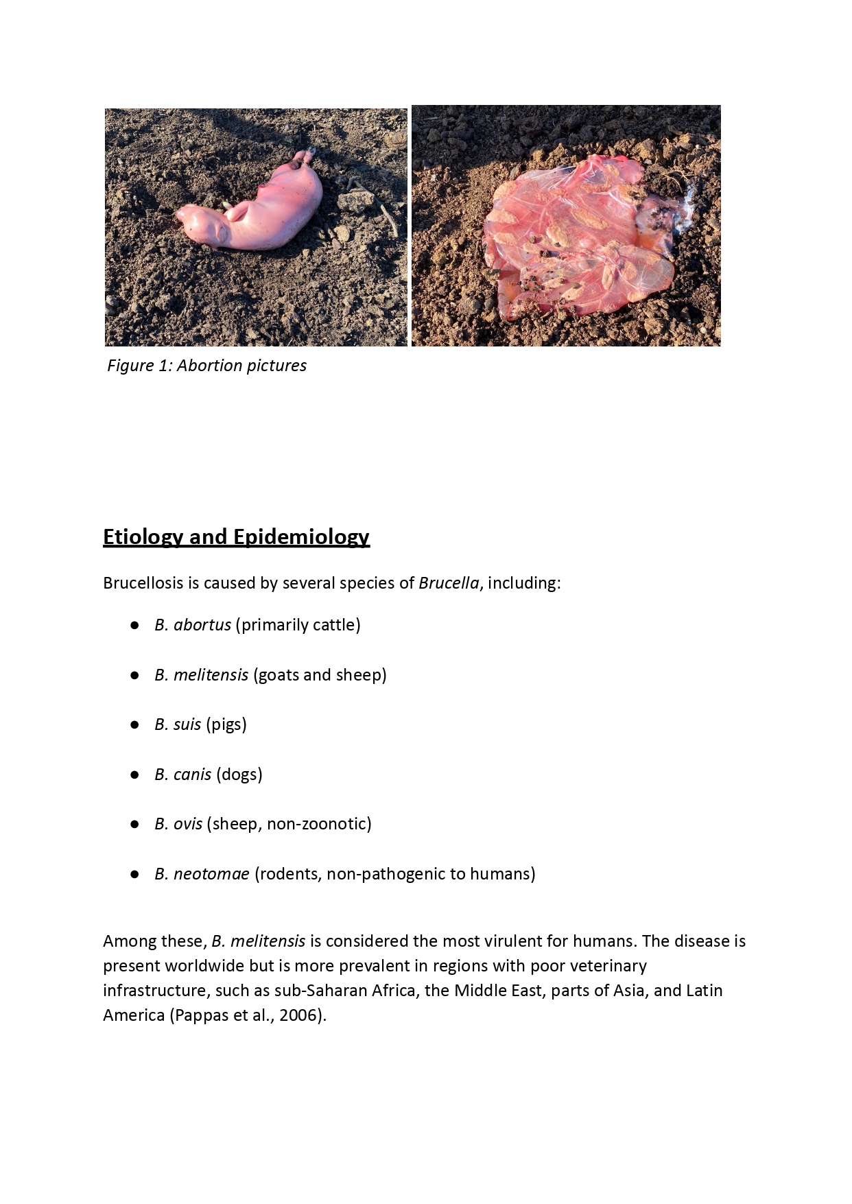 Brucellosis_ A Zoonotic Threat to Public and Animal Health_page-0002
