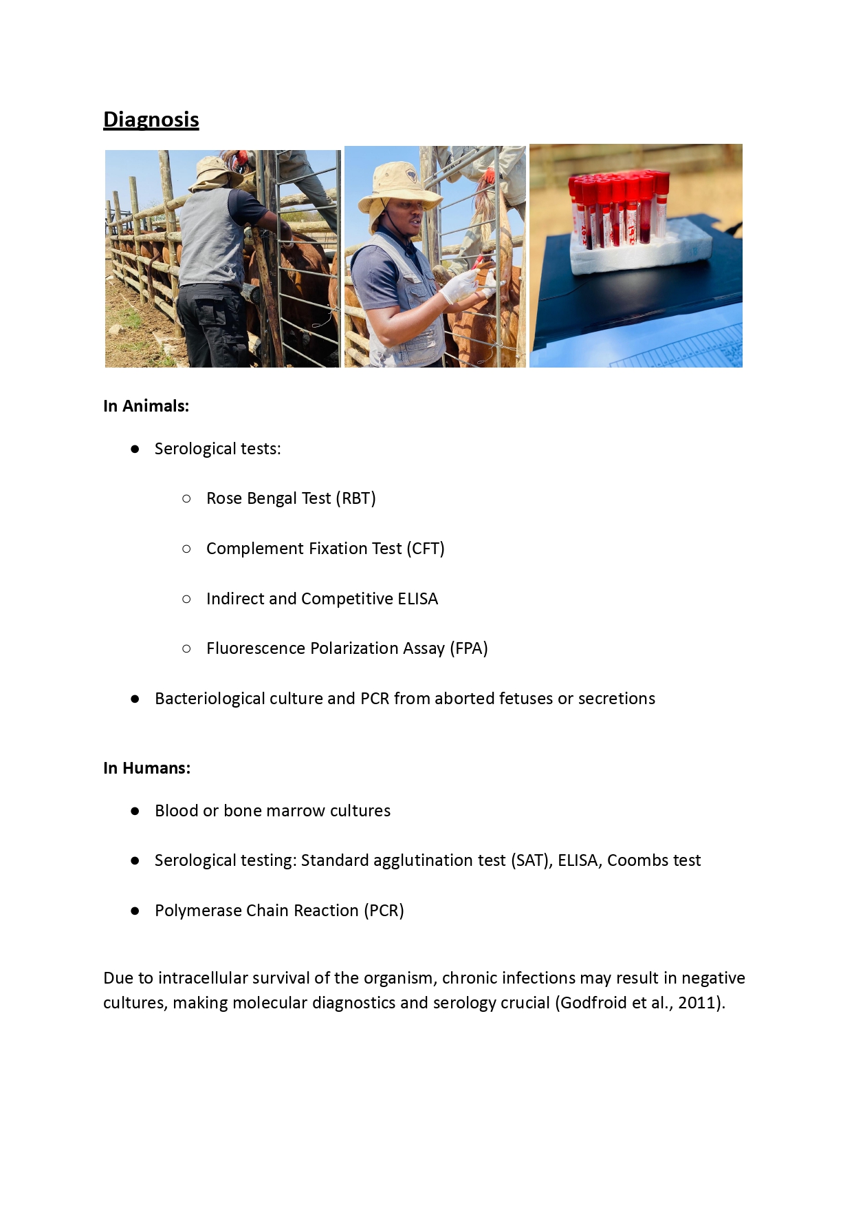 Brucellosis_ A Zoonotic Threat to Public and Animal Health_page-0005