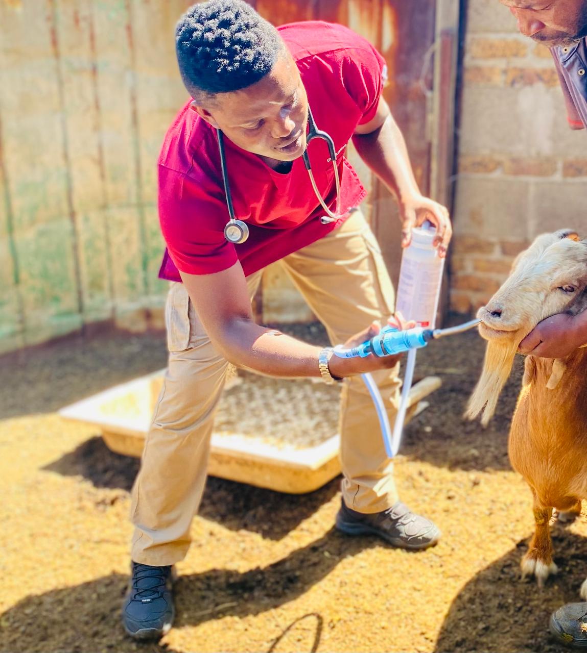 Deworming internal parasite control